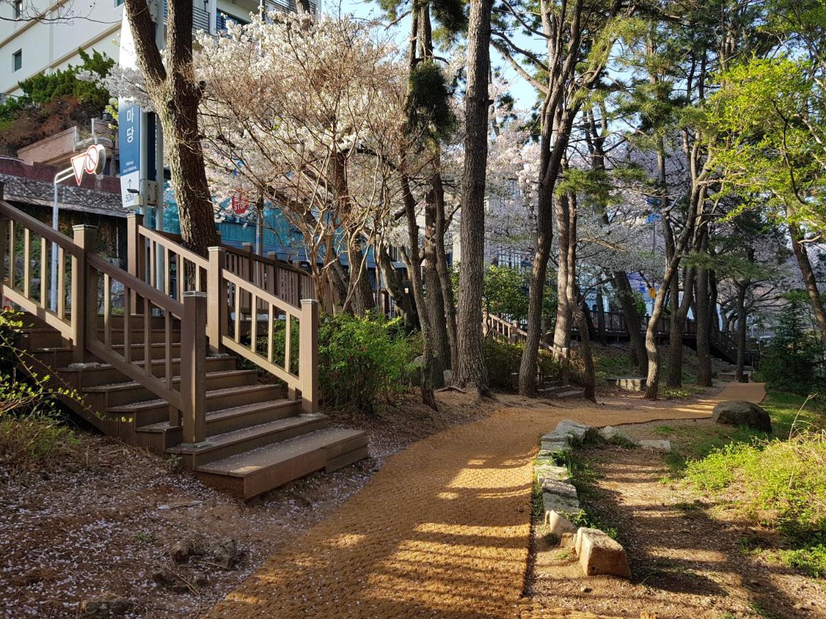 Suntree Hotel Busan Exteriör bild